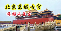 黄色曰逼视屏中国北京-东城古宫旅游风景区